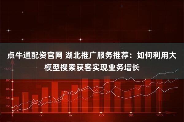 点牛通配资官网 湖北推广服务推荐:如何利用大模型搜索获客实现业务增长