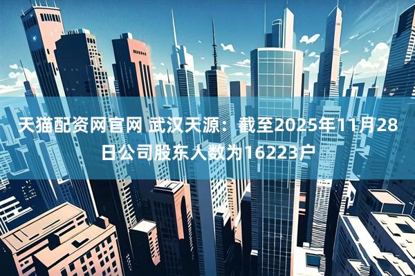 天猫配资网官网 武汉天源：截至2025年11月28日公司股东人数为16223户