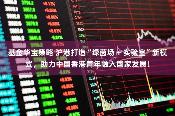 基金华宝策略 沪港打造“绿茵场 + 实验室”新模式，助力中国香港青年融入国家发展！